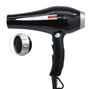 Salon Equipment Energy Efficient Hair Drying Machine Professional Hairdryer AC Motor Specifications Powerful Hair Blow Dryer