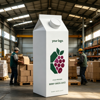 Boîte en carton à toit ouvrant personnalisée pour jus de fruits (orange, citron, pamplemousse, mangue, ananas, litchi, goyave)