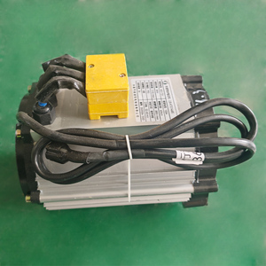 Bán buôn Chất lượng cao 3KW pmsm điều khiển động cơ vi sai điện ba bánh e-golf xe nam châm vĩnh cửu động cơ - Product Image 4