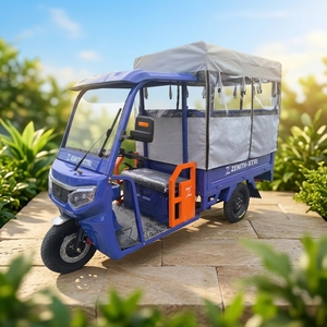 Leisure Passenger-carrying <b>Gasoline</b> Tricycle Motorcycle, High-speed Tuk-tuk with Canopy - Product Image 4