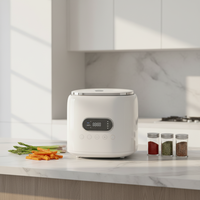 Cuisinière à riz électrique intelligente minimaliste moderne avec contrôle tactile numérique, multifonctionnelle pour les petites familles et les dortoirs
