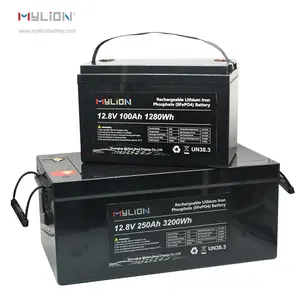 Mylion OEM/ODM Li-Ionen-Akku, 12 v200ah Lebensdauer Po4-Speicher Solar batterie 12V 100ah wiederauf ladbare Lithium-Ionen-Batterie 12V 50ah