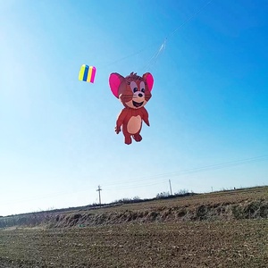 Cerfs-volants gonflables classiques d'<span class=keywords><strong>anime</strong></span>, cerf-volant souple 3D chat et souris, cerf-volant de plage pour les passionnés de cerfs-volants de l'usine de cerfs-volants de Weifang - Product Image 5