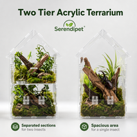 Terrarium en acrylique en forme de maison à deux niveaux pour reptiles, serpents, lézards, tarantules, coléoptères, araignées sauteuses - Cage Vivarium OEM