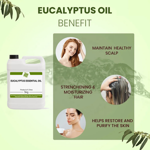 Atacado Eco-friendly Óleo De Eucalipto 100% Puro Natural Óleo Essencial De Eucalipto Atacado Bulk <span class=keywords><strong>Eucalyptus</strong></span> <span class=keywords><strong>Oil</strong></span> Fornecedor - Product Image 5