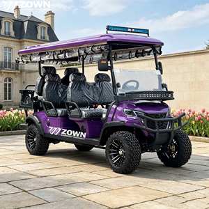 รถกอล์ฟไฟฟ้า ZOWN 4 ที่นั่ง สีสั่งทำได้ รับประกัน 2 ปี ใช้ได้บนถนนสาธารณะ เหมาะสำหรับสถานที่ท่องเที่ยว - Product Image 1