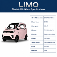 Voiture électrique miniature avec une autonomie de 100-140 km, moteur de 3000 W pour les trajets quotidiens, vente en gros directe d'usine, garantie d'un an
