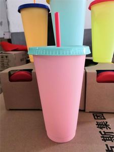 Vente flash : Gobelets isothermes pour café glacé en vrac, gobelets en plastique réutilisables de 24 oz, changeant de couleur, étanches, avec couvercles et pailles pour les fêtes - Product Image 2