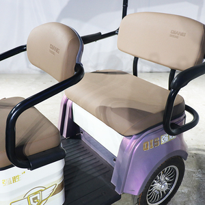 Tricycle à 3 roues QSD Factory Scooter, auto-rickshaw, tricycle pour passagers, tricycle en acier - Product Image 2
