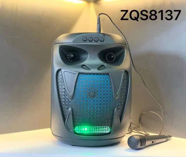 ZQS8137 High Volume 20w 6.5 Inch Speaker Outdoor Portable Party Dj Speaker Set Subwoofer Sound Light With Led Stage Lights