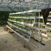 Systèmes de serres hydroponiques Sinok avec cocopeat et hydroponie NFT pour la laitue, la tomate, les légumes, kit de serres agricoles