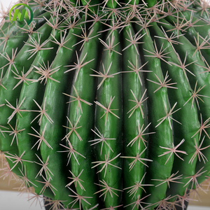 Top Vente <span class=keywords><strong>Cactus</strong></span> Artificiel Balled En Pot Haute Simulation Succulentes Bonsaï <span class=keywords><strong>Prix</strong></span> Usine Faux <span class=keywords><strong>Cactus</strong></span> Plante pour La Décoration - Product Image 4
