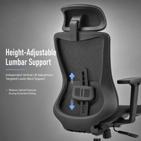 Chaise de bureau ergonomique à dossier haut en maille avec appui-tête, accoudoirs 2D, soutien lombaire réglable, chaises de travail pivotantes