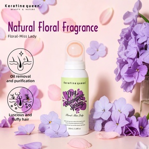 Hot Sale 30S Oil Absorption Hair Dry Spray Custom Professional Salon Leave in Conditioner Spray <b>Shampoo</b> - Product Image 1