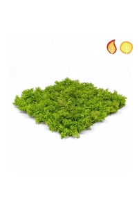 Penjualan Terlaris 25X25CM UV Hijau Tahan Api Alas Lumut Rusa Buatan Gulungan Rumput Tanaman Luar Ruangan Pagar Boxwood Dekoratif Dinding - Product Image 4
