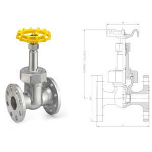 Válvula de compuerta de vapor de hierro dúctil de hierro fundido con asiento resistente industrial BSPT NPT Válvula de alta durabilidad con brida - Product Image 5