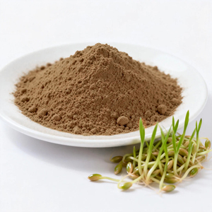 Venta al por mayor de extracto de malta de cebada frita en polvo Extracto de malta de cebada orgánica - Product Image 2