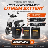 Batterie de voiture électrique LiFePo4 personnalisée 72V32Ah 36V 48V 52V 60V 40Ah 60Ah, batterie lithium-ion rechargeable 60 volts