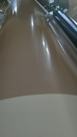 Bande transporteuse sans fin en PTFE + PU brun 16000*1000*1.5 2 bandes de guidage transparentes 6*4-35 ℃ résistant au froid