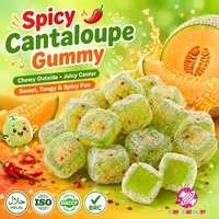 Bonbons Gélifiés en Gros OEM ODM en Vrac, Cubes de Melon Hami Épicés, Saveur Pimentée, Bonbons Gélifiés Moelleux et Fruités