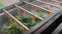 Automatische industriële groente- en fruitbellenwasmachine motor hoge precisie 304 roestvrijstalen verwerkingslijn maïsmeel