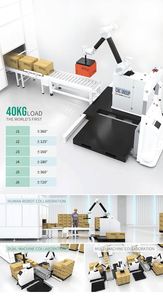 Robot collaboratif de palettisation à 6 axes, robot automatique d'empilage de cartons, machine de palettisation d'emballages en entrepôt, usine - Product Image 4