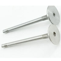 Válvula de Admisión y Escape 03L109601 03L109611 para AUDI A3 A4 A5 A6 Seat Leon Skoda VW Golf 6 Transporter 2.0 TDI CJAA CFFB CFCA CFFA