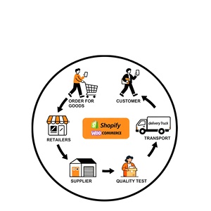 Productos de Dropshipping 2026, Agente de Dropshipping de Comercio Electrónico de Shopify con Servicio Profesional de Gestión de Pedidos - Product Image 1