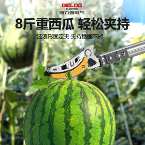 Cisailles électriques télescopiques Delixi en acier inoxydable pour la cueillette de fruits, manuelles, pour vergers, litchis et longanes - Product Image 1