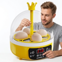Petite couveuse à œufs pour poulets, canards, oies, dindes, émeus - Haute productivité, taux d'éclosion de 96% à 98%