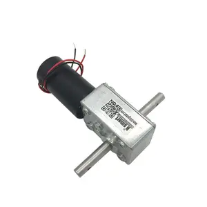 BringSmart 5840-31ZY Reversed Self-lock 12v 24v high torque low rpm dc worm gear motor dual shaft for automatic clothes hangers