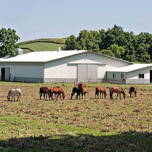 Écurie portable pour chevaux de style design industriel - Product Image 1
