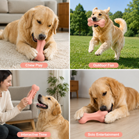 Jouets interactifs pour chiens, os en caoutchouc naturel personnalisé pour mâcher, jouets interactifs pour animaux de compagnie, jouets de mouvement, jouet à mâcher pour nettoyer les dents