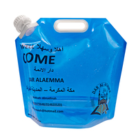 Sac à eau transparent personnalisé de 5 L avec poignée, pour cola, café, lait, liquides, format 1 gallon, vente chaude