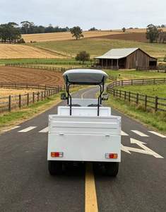Voiturette de golf utilitaire 2 places avec boîte de rangement, idéale pour les fermes et les centres de villégiature sur terrains non publics - Product Image 6