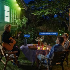 ไฟ LED อัจฉริยะสำหรับภายนอกอาคาร ติดตั้งถาวรสำหรับคริสต์มาส ควบคุมผ่าน Wifi, แอพ, รีโมท และเสียง ปรับความสว่างได้ เหมาะสำหรับตกแต่งวันหยุดติดผนัง - Product Image 6