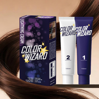 Color Wizard Hair 100ml*2 Krim Pencerah Pewarna Rambut Profesional untuk Menghilangkan Warna Rambut Pudar, Cocok untuk Salon & Penggunaan di Rumah