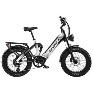 Vélo électrique pour adultes EU Ship <span class=keywords><strong>Cyrusher</strong></span> Kommoda Pro, moteur arrière 250W, tout-terrain, batterie 52V 20Ah, pneus 20 pouces. - Product Image 3