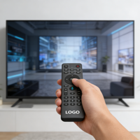 Télécommande vocale de remplacement pour applications domestiques, compatible avec les décodeurs TV, avec fonction d'apprentissage