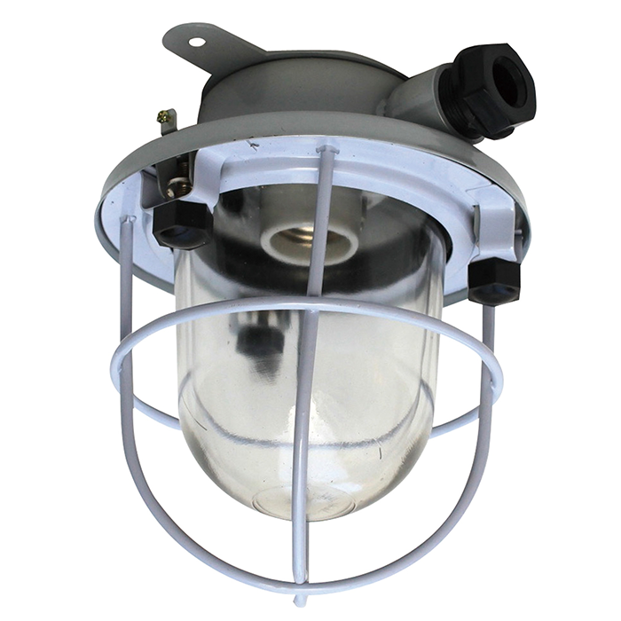 220 dc-двигатель, напряжение 90W морской подвесные лампы накаливания CCD1-2 оболочка принимает большое сталь