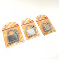 Cadenas Samhoo antivol en fer et laiton trempé argenté, 3 clés, étanche, sécurité supérieure, avec clé maîtresse