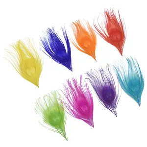 15 Pcs Hat Feathers Assorted Natural Feather for Hats Colorful Real  Feathers Accessories for Women Men Party Decorations