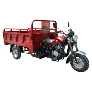 Heavy Duty Adult Truck 3 Wheels Cargo gasoline Agricultural Tricycle