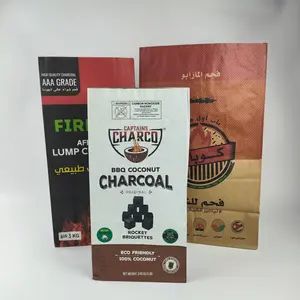 Personalizado Multipurpose Grande Grande Comprimido Kraft Papel Carvão Saco Churrasco Bbq 7kg 9kg 10kg 25kg 50kg Embalagem Sacos de Carvão Vazio