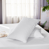 80% coton 20% Polyester taie d'oreiller en éponge à boucles courtes avec fermeture éclair housse de coussin imperméable