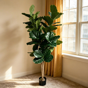 Fiori Decorativi, Ghirlande e Piante Artificiali, <span class=keywords><strong>Albero</strong></span> di <span class=keywords><strong>Ficus</strong></span> Lyrata Artificiale Sempreverde per Decorazioni di Eventi, Matrimoni e Feste - Product Image 2