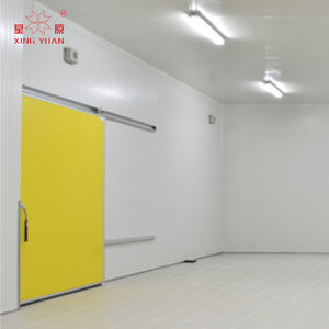 Porte de chambre froide coulissante pleine largeur/système coulissant Porte de congélateur de réfrigération/porte spéciale pour chambre froide - Product Image 2