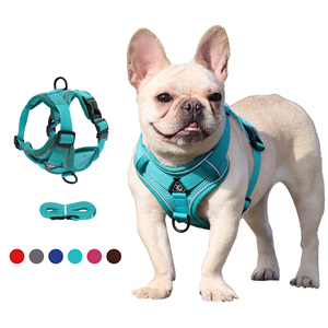 Conjunto de Correa y Arnés Reflectante para Perros Pequeños y Medianos, Decoraciones de Cinta Transpirable con Patrón Sólido - Product Image 1