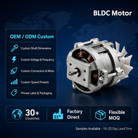 Motor BLDC de Eje Vertical con Control PWM, 220V 50Hz, Bus de CC de 310V con Placa Controladora, Bajo Ruido, para Licuadoras y Máquinas de Leche de Soja