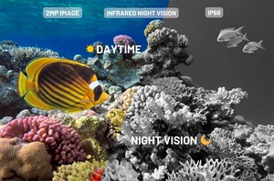 IP68 Protected <strong>Underwater</strong> Monitor <strong>Camera</strong>, Seawater Grade Stainless Steel Aquarium <strong>Camera</strong>, Fishing <strong>Underwater</strong> HD <strong>Camera</strong> - Product Image 3